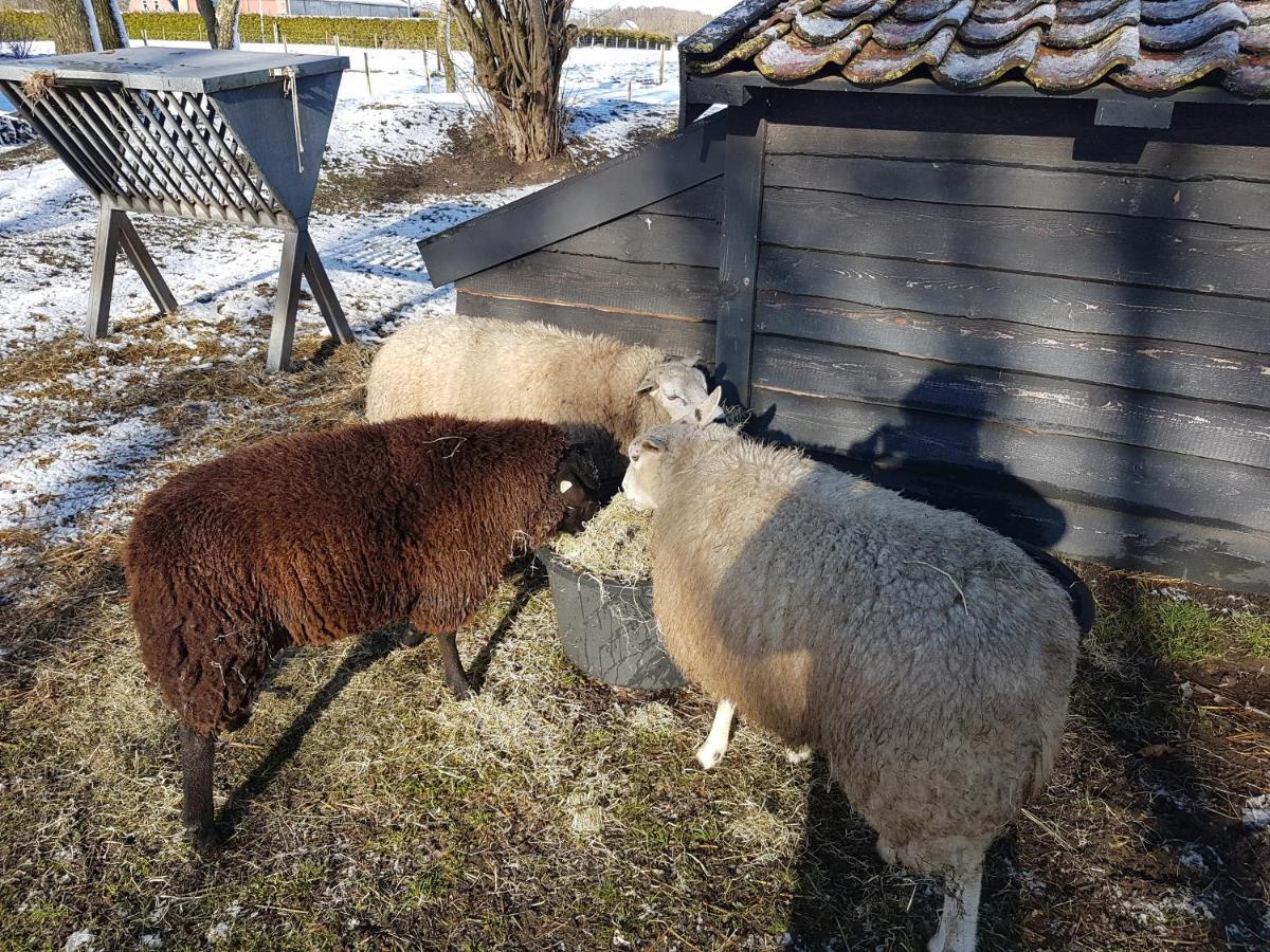 Alde Bakhus Villa Sondel Eksteriør bilde